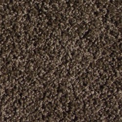 Malibu - Mocha Froth