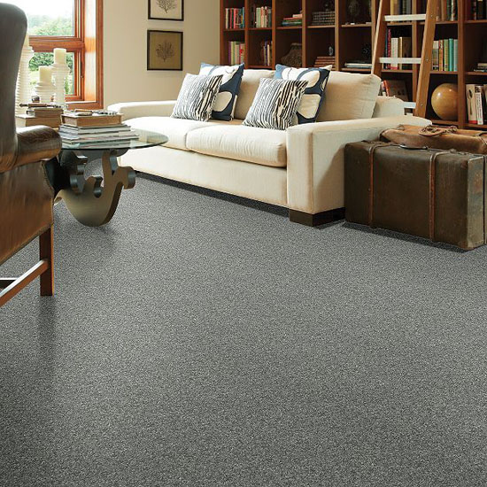 Stainmaster Pet Protect Carpet From