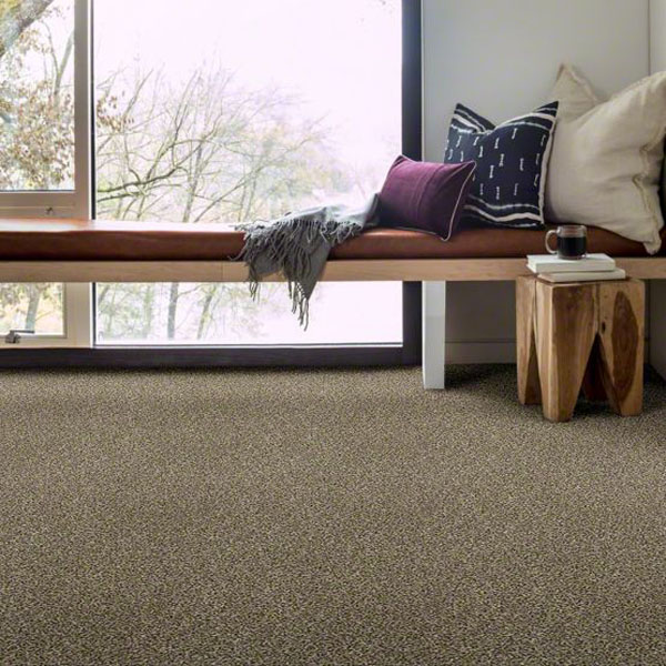 The Bark Side II from Tuftex Carpet Unleashed Collection