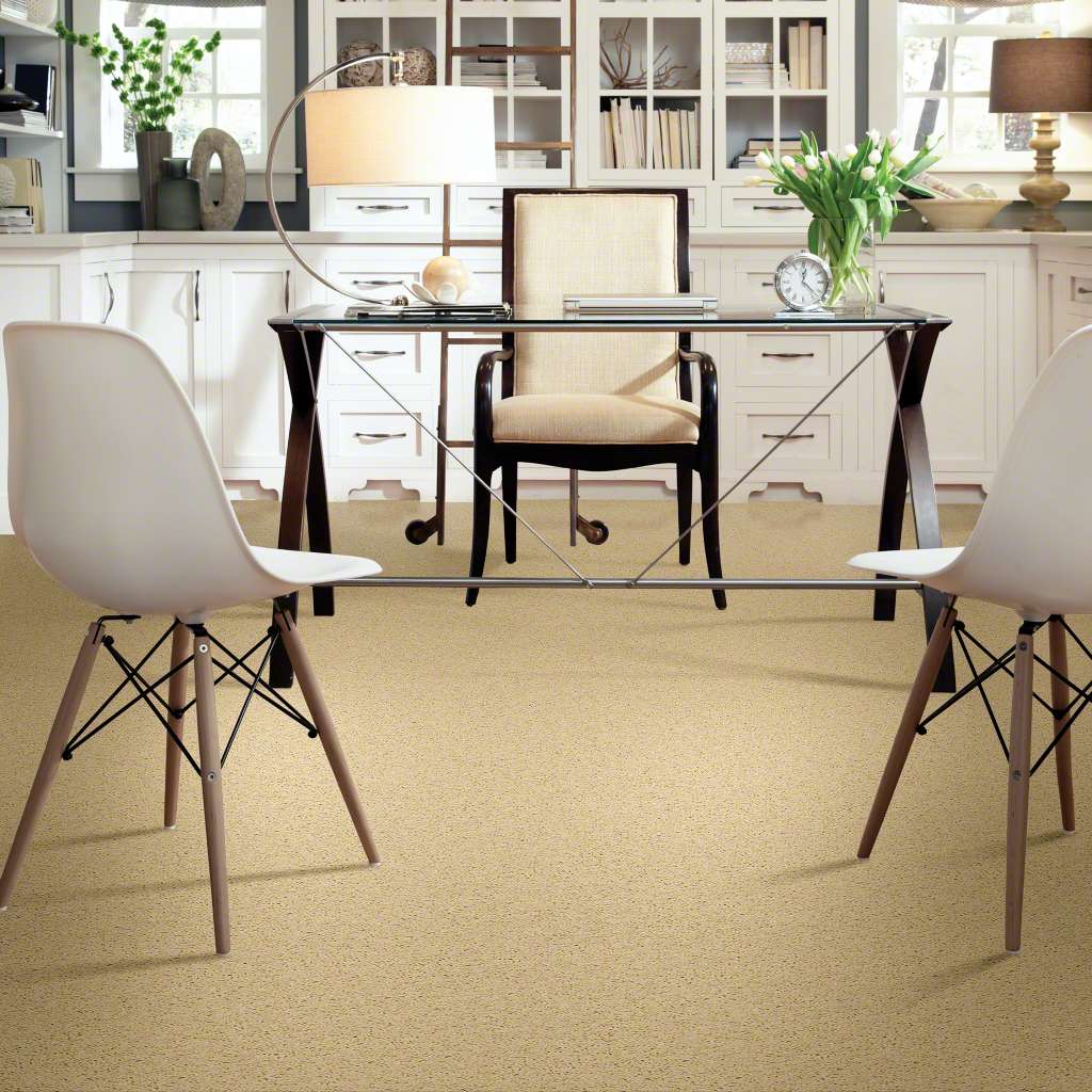 Plume Perfect room scene