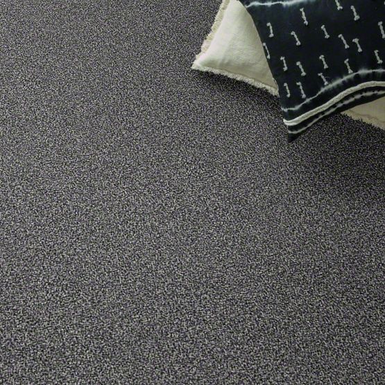 Diva Stainmaster Carpet