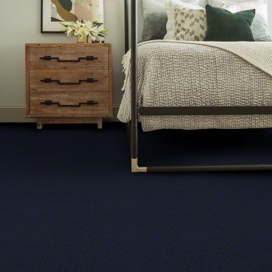 Park Place II Stainmaster Carpet 