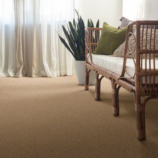 Suave II Stainmaster Carpet 