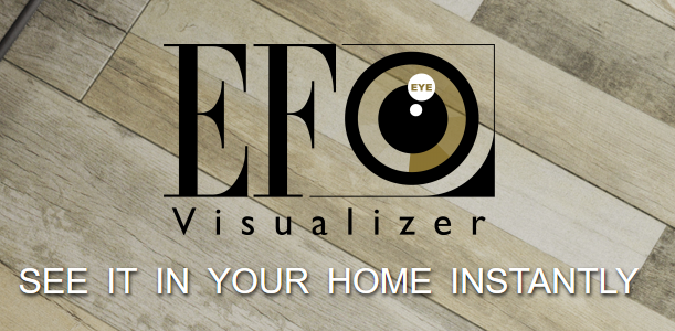 EF-EYE Visualizer logo