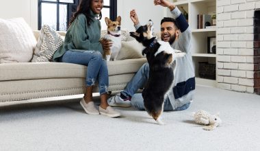 Family playing with dog on carpet