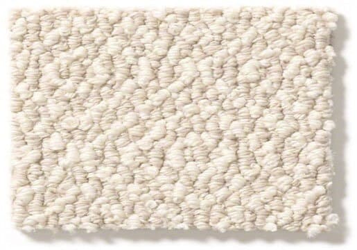 Stainmaster Carpet Stainmaster Carpet