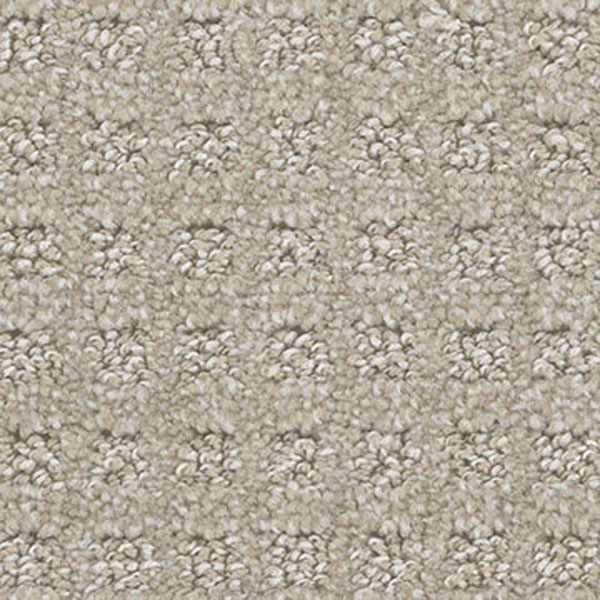 Chamber's Bay Dreamweaver Carpet Shop from Home and Save!