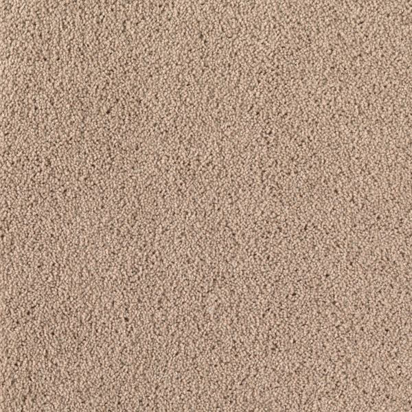 Winning Hand Mohawk Carpet Shop from Home and Save!