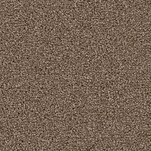 Cape Cod Dreamweaver Carpet Shop from Home and Save!