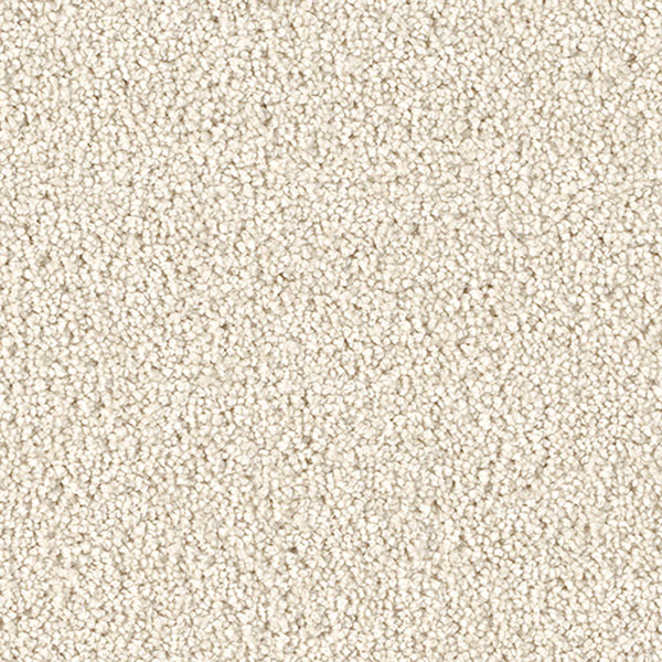 Cape Cod Dreamweaver Carpet Shop from Home and Save!