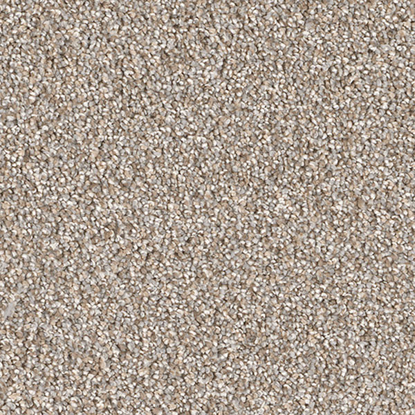 Cape Cod Dreamweaver Carpet Shop from Home and Save!