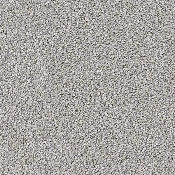 Cape Cod Dreamweaver Carpet Shop from Home and Save!