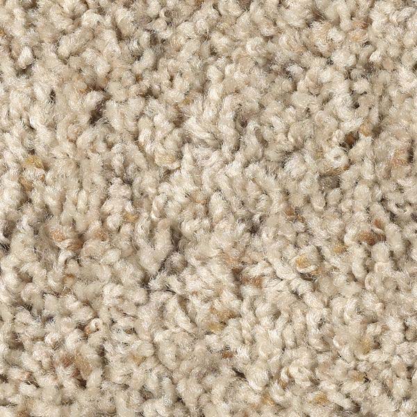 Mohawk Smartstrand Triexta Carpet Reviews Review Home Co