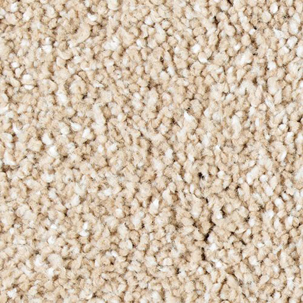 Exquisite Tones Mohawk Carpet Shop from Home and Save!