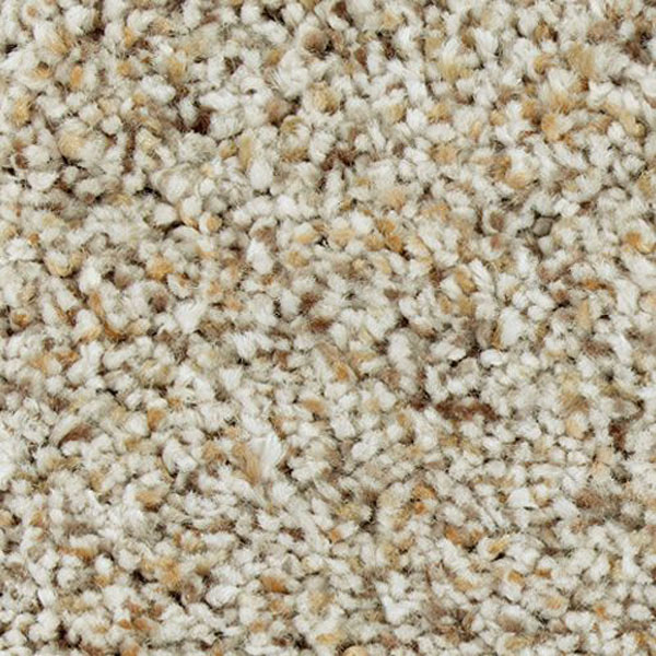 Exquisite Style Mohawk Carpet Shop from Home and Save!