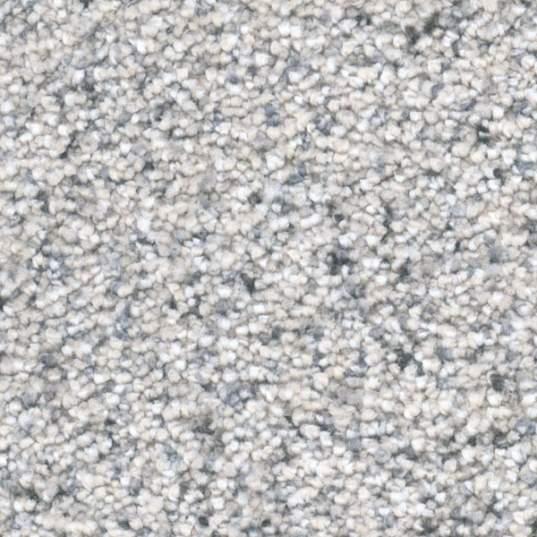 Epic II Dreamweaver Carpet Shop from Home and Save!