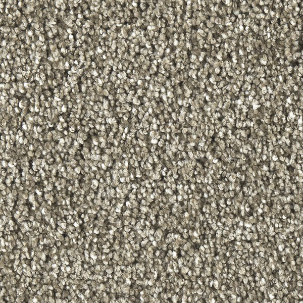 Soft Luxury | Marquis Carpet | Shop from Home and Save!