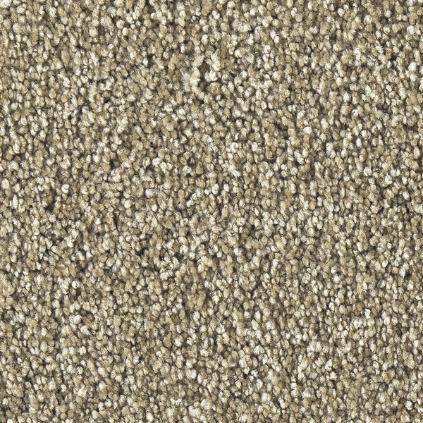 Soft Luxury | Marquis Carpet | Shop from Home and Save!