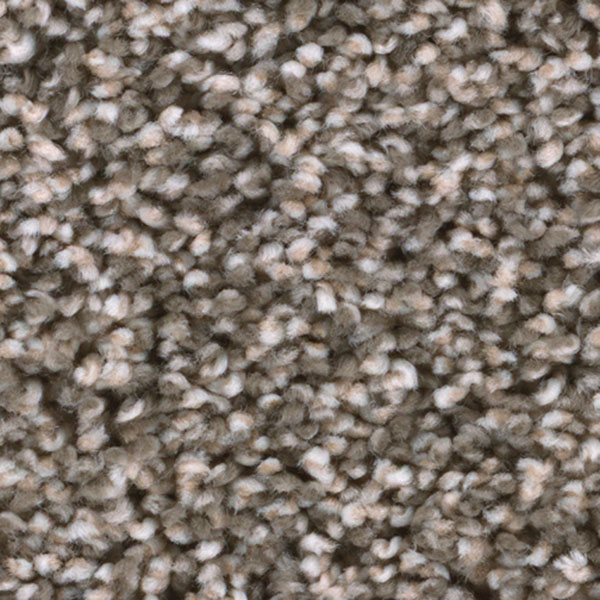 Trendsetter II Dreamweaver Carpet Shop from Home and Save!