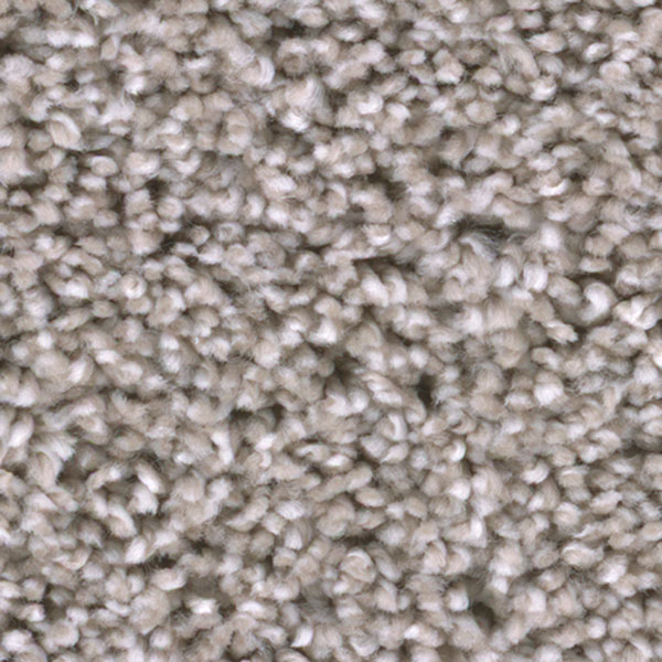 Trendsetter II Dreamweaver Carpet Shop from Home and Save!