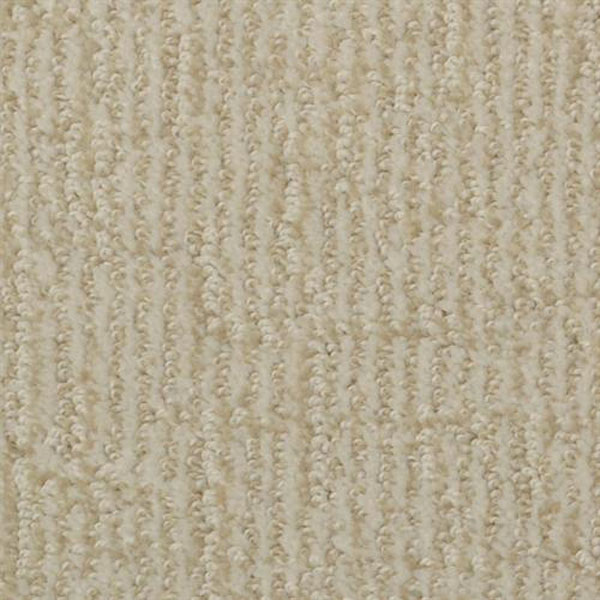 Cape Cod Dixie Home Berber Carpet