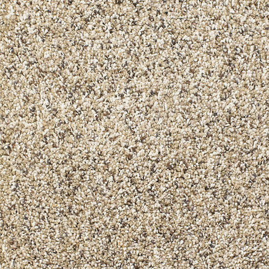 Talk of the Town Dreamweaver Carpet Shop from Home & Save! at