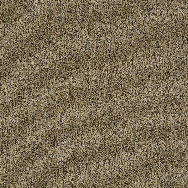 Multiplicity 24X24 Tile | Shaw Carpet | Shop from Home & Save! Tile
