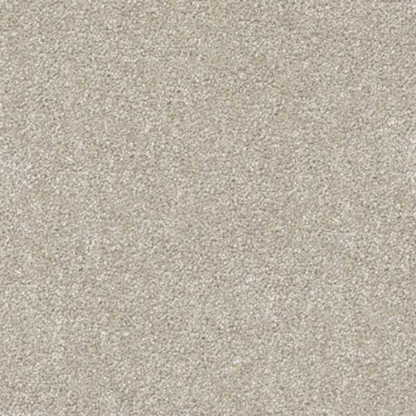 Striking III Dreamweaver Carpet Shop from Home and Save!