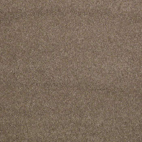 Cashmere Classic III Shaw Carpet Shop from Home & Save! & Queen