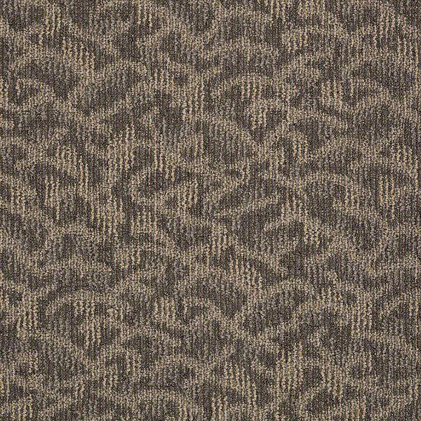 New Release Shaw Carpet Shop from Home & Save! Commercial