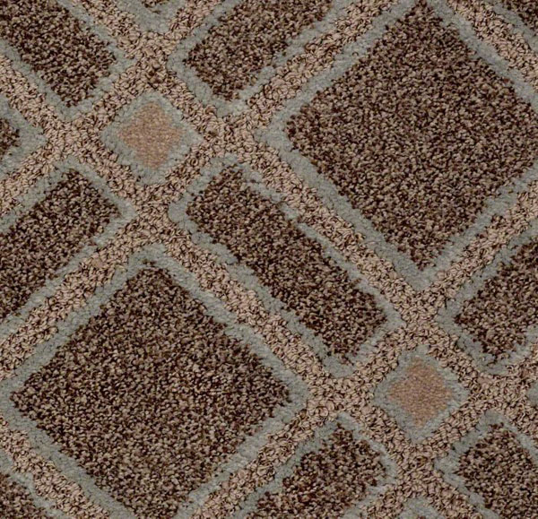 Versailles Anderson Tuftex Carpet Shop from Home & Save!