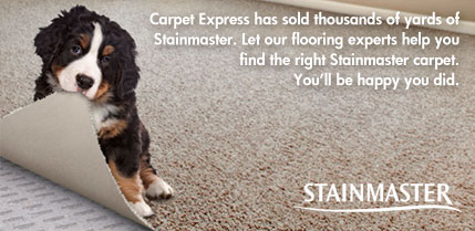 Stainmaster Carpet at Carpet Express