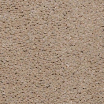 Top Line Mohawk Carpet Save 30 50 Mohawk Carpet Top Line Birch Bark From