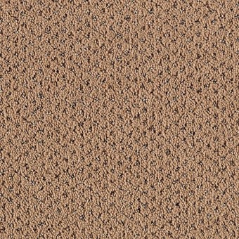 Best Tile Sf >> Calming Nature | Smartstrand Silk | Mohawk Carpet Best Tile Sf >> Calming Nature | Smartstrand Silk | Mohawk Carpet