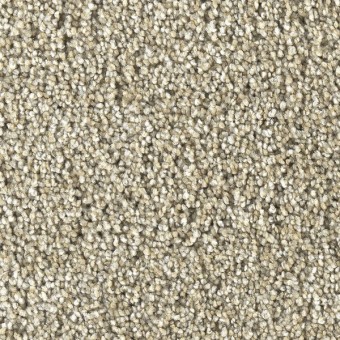 Soft Luxury | Marquis Carpet | Shop from Home and Save!