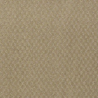 Latest Trend Shaw Carpet Shaw Carpet Latest Trend Alpaca From