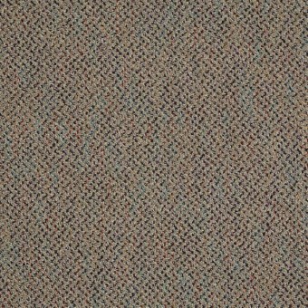 shaw commercial carpet
