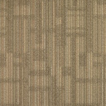 Transparent Carpet Tile  Shaw Contract