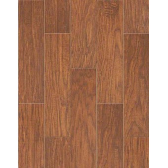 6x24 petrified hickory ancient