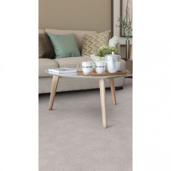 Dixie Stainmaster Escalante Carpet Rc Willey Furniture Store