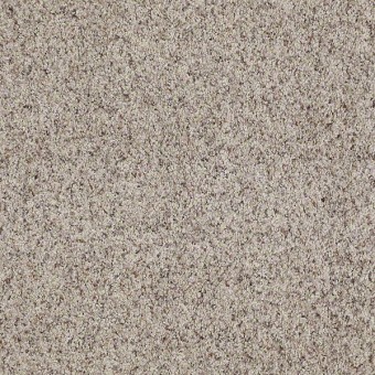 Split Second A Shaw Carpet Life Guard Save 30 50 Shaw Carpet Split Second A Bella From