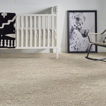 Sweet Reflection Mohawk Carpet Shop From Home Save At Carpet Express