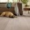 Silky Taupe