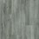 Greyed Oak