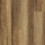 Tawny Oak