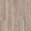 Cut Pine