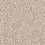 Artist\'s Canvas