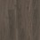 Dark Elm