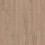 Chatter Oak