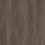 Dark Elm